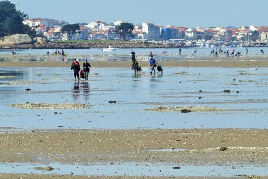 As Rosas Apartamentos Turisticos Cambados Bagian luar foto